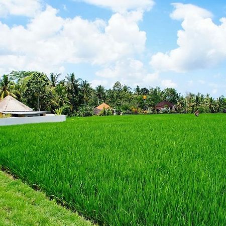 Villa Vinayaga Ubud Quarto foto